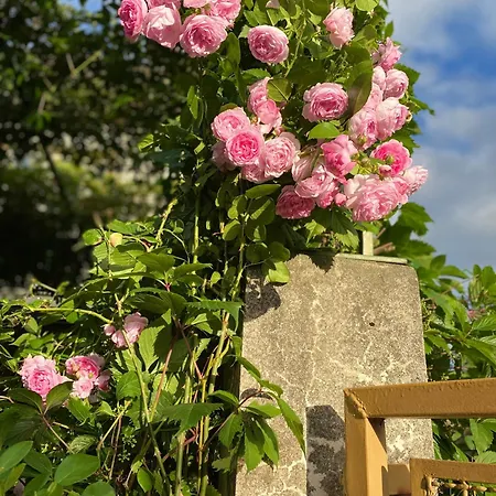 De Famille L.f.m.a.l. *