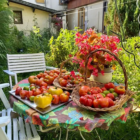 De Famille L.f.m.a.l.